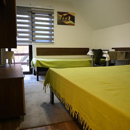 Apartman Vukasin 科帕奥尼克 外观 照片