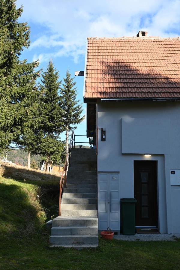 Apartman Vukasin 科帕奥尼克 外观 照片