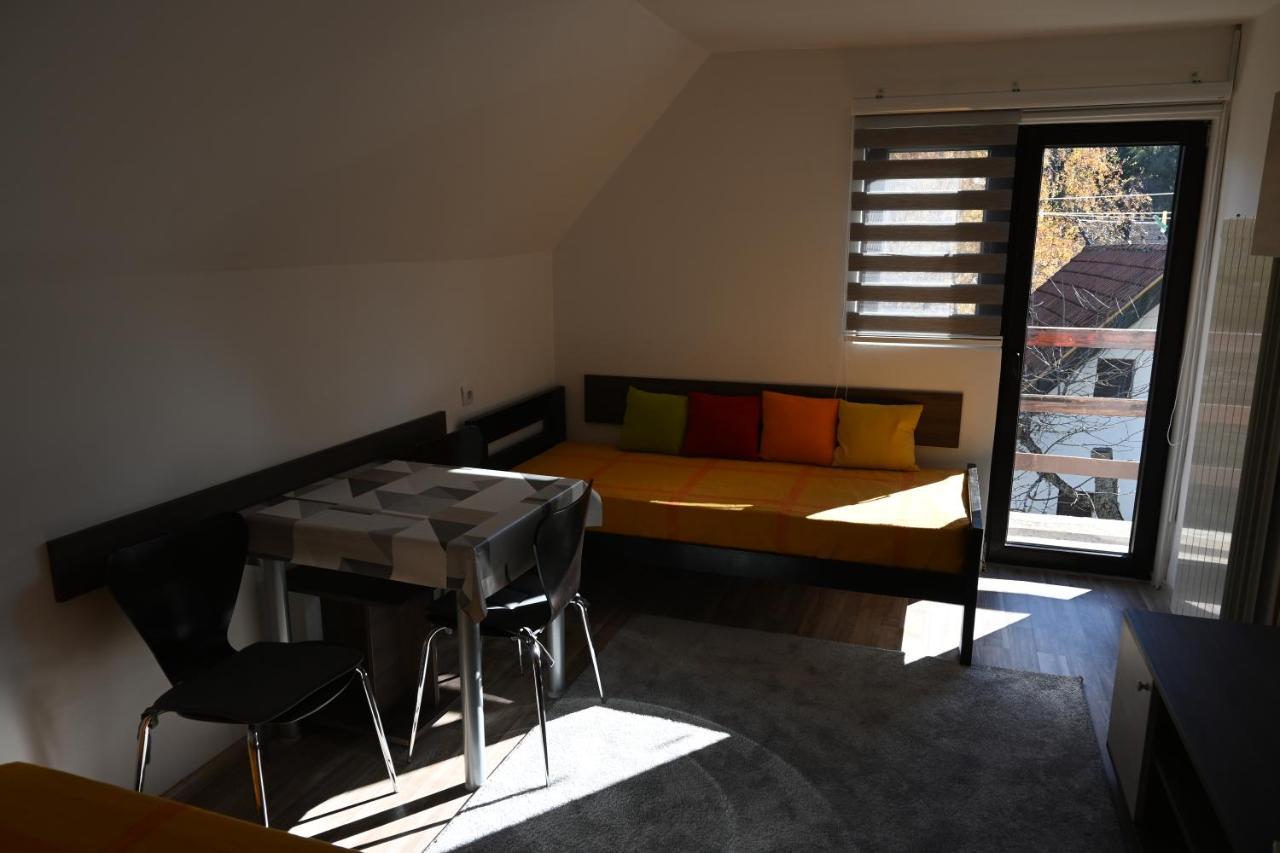 Apartman Vukasin 科帕奥尼克 外观 照片