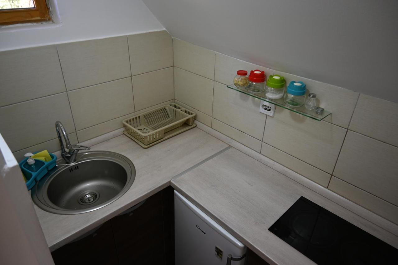 Apartman Vukasin 科帕奥尼克 外观 照片