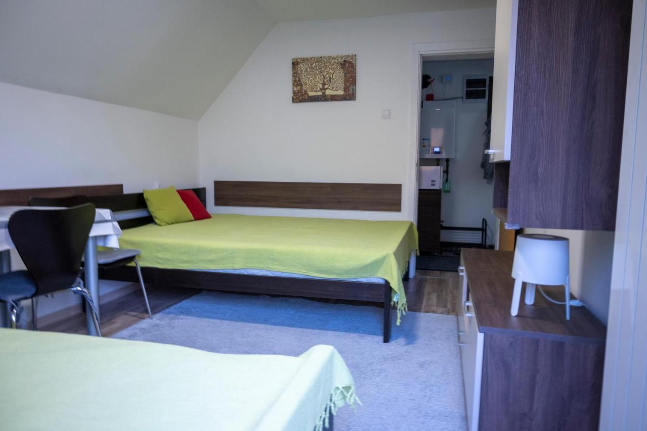 Apartman Vukasin 科帕奥尼克 外观 照片