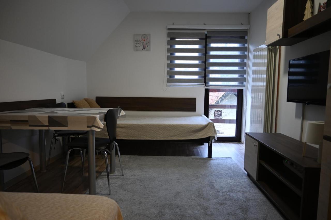 Apartman Vukasin 科帕奥尼克 外观 照片