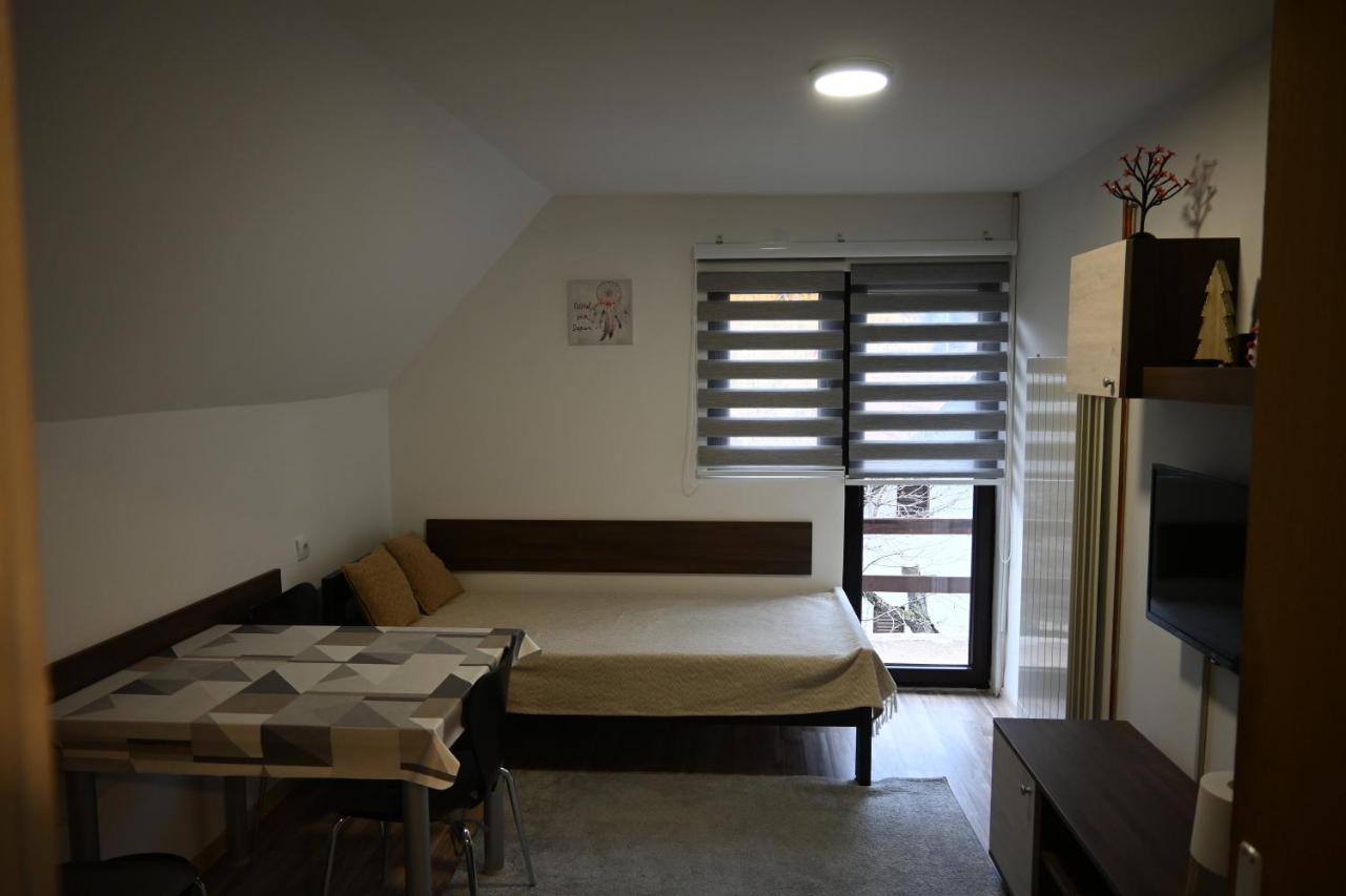 Apartman Vukasin 科帕奥尼克 外观 照片