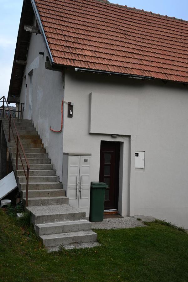 Apartman Vukasin 科帕奥尼克 外观 照片
