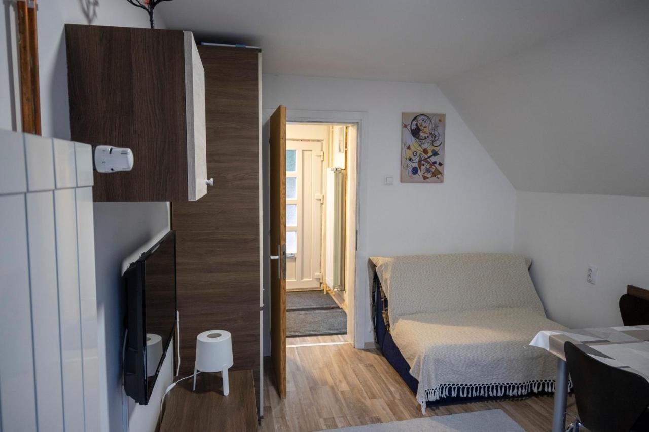 Apartman Vukasin 科帕奥尼克 外观 照片