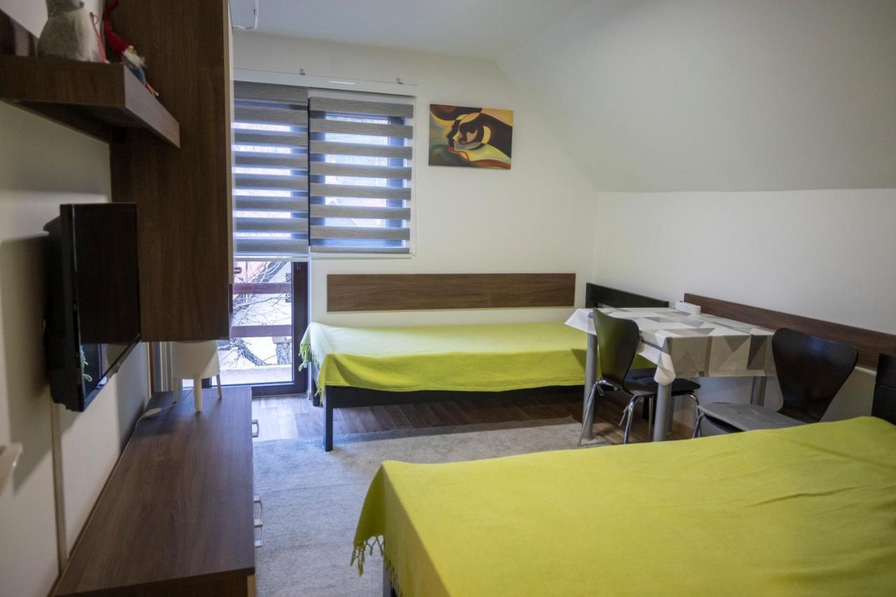 Apartman Vukasin 科帕奥尼克 外观 照片