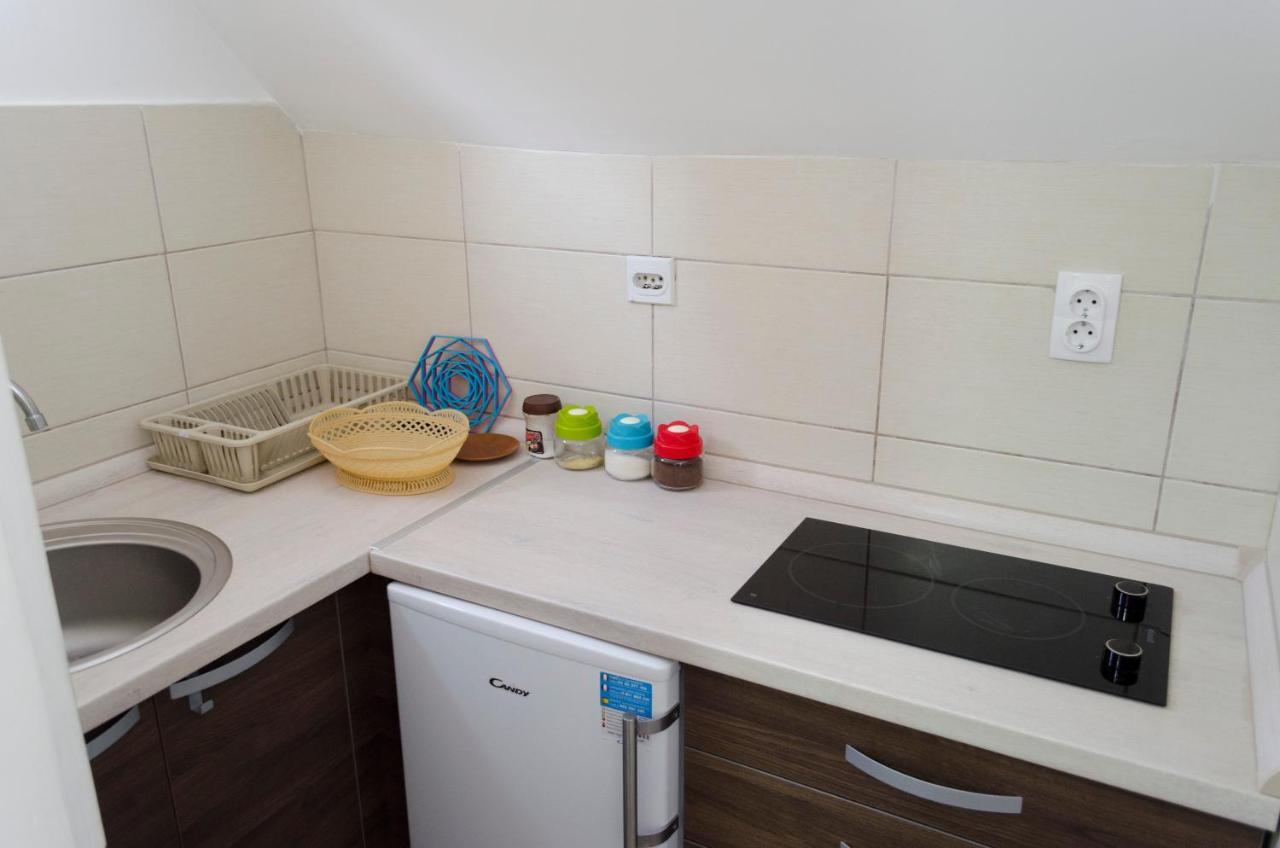 Apartman Vukasin 科帕奥尼克 外观 照片