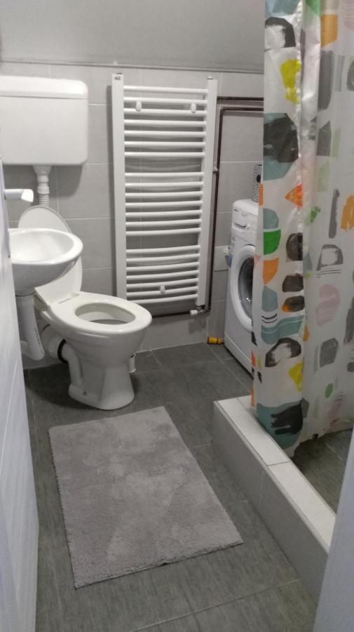 Apartman Vukasin 科帕奥尼克 外观 照片